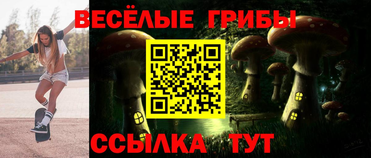 Галлюциногенные грибы MAGIC MUSHROOMS  Вход с VPN  Клинцы 